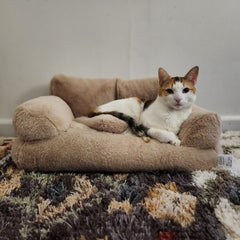 Luxurious Plush Sofa Bed for Cats and Small Dogs_7