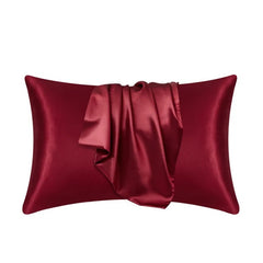 Natural Mulberry Silk Pillow Case_17