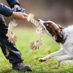 PETSWOL Dog Rope Toy for Dogs Who Love to Chew | Safe and Durable for Large and Medium Dogs_1